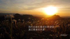 關于勵志的經(jīng)典句子