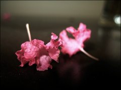 往事如風(fēng)，癡心只是難懂