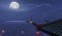 每一天夜里都睡不著，獨(dú)自一個(gè)人在樓頂看月亮