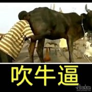 是什么社會(huì)背景讓你如此肆無(wú)忌憚