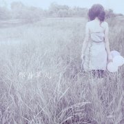 關(guān)于優(yōu)美的句子20句