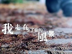 關(guān)于距離的傷感說說 關(guān)于距離的傷感說說