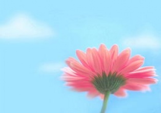寫給老公的勵(lì)志一句話