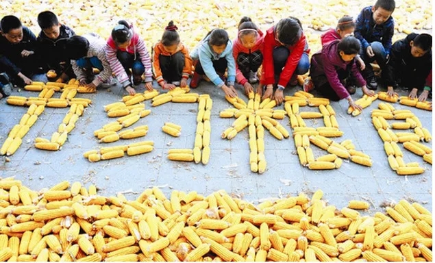 節(jié)約糧食名言 節(jié)約糧食名言