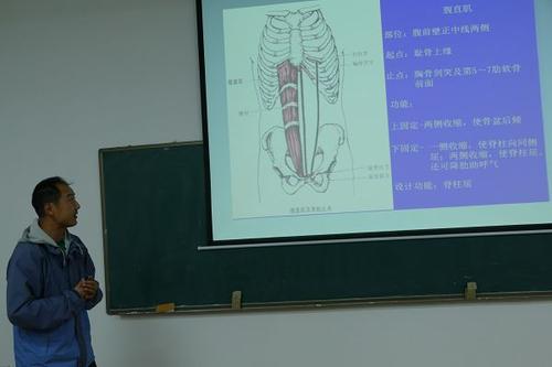 贊揚(yáng)教師的句子