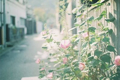 對客戶天氣問候短信