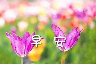 關(guān)于養(yǎng)生問(wèn)候短信