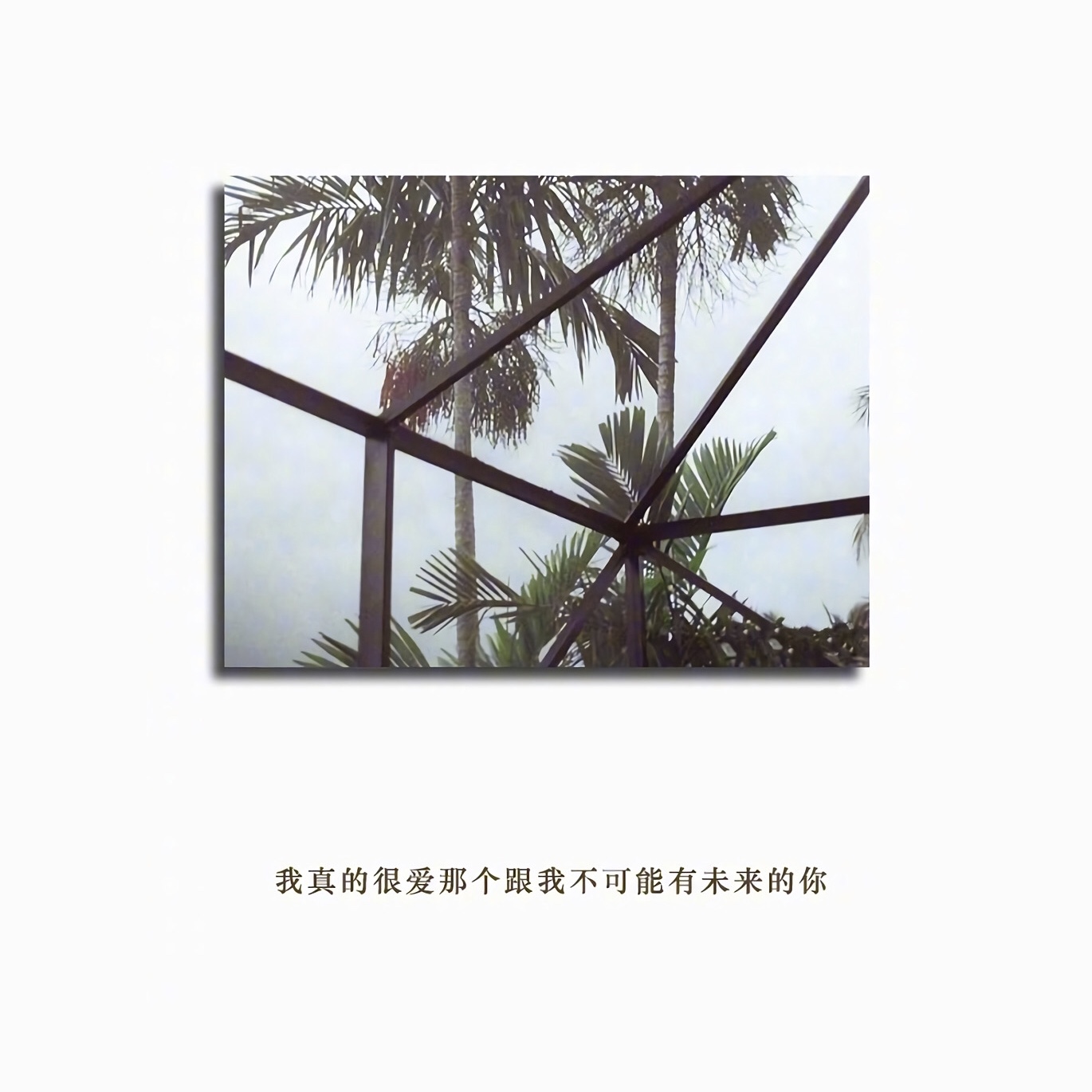 沒(méi)人陪心酸的句子