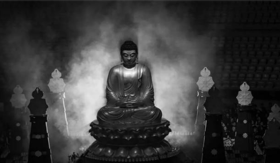 《大佛普拉斯》經(jīng)典臺(tái)詞、語錄