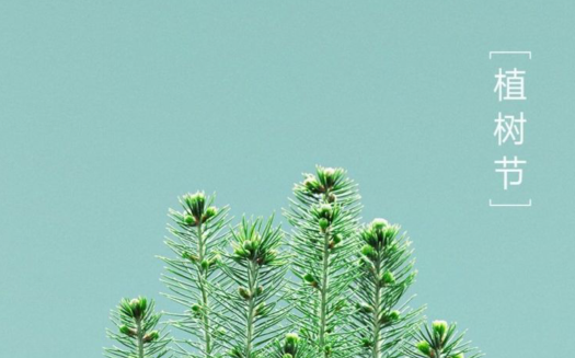 2024植樹(shù)節(jié)唯美的句子 關(guān)于植樹(shù)節(jié)優(yōu)美的說(shuō)說(shuō) 2024植樹(shù)節(jié)唯美的句子 關(guān)于植樹(shù)節(jié)優(yōu)美的說(shuō)說(shuō)