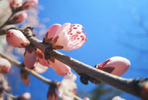 適合疫情結(jié)束后發(fā)的心情說(shuō)說(shuō)    關(guān)于疫情結(jié)束想說(shuō)的話