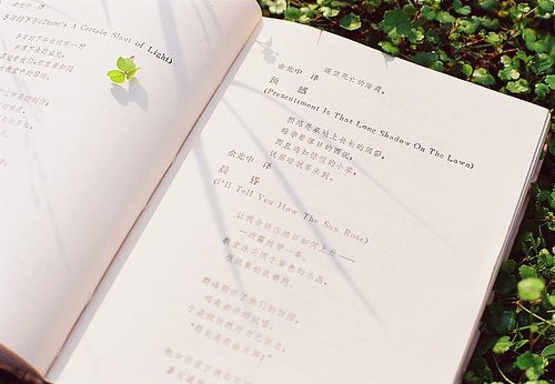 心太亂不開心的句子