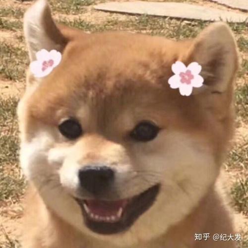 鼓勵(lì)人開心的非主流句子