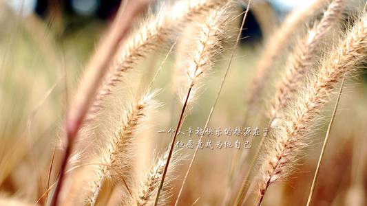 陽(yáng)光勵(lì)志開(kāi)心的句子