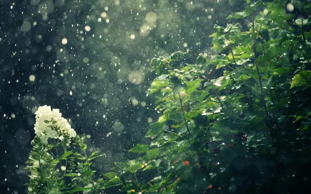 生病下雨心煩的說(shuō)說(shuō)句子