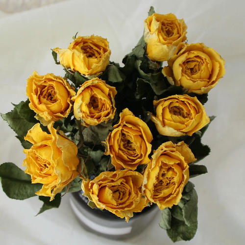 生日過(guò)得不開(kāi)心的句子 生日當(dāng)天不開(kāi)心的說(shuō)說(shuō) 生日過(guò)得不開(kāi)心的句子 生日當(dāng)天不開(kāi)心的說(shuō)說(shuō)