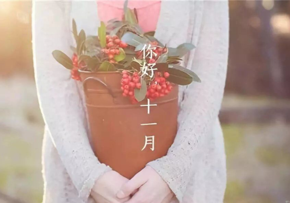 十一月你好的唯美文字