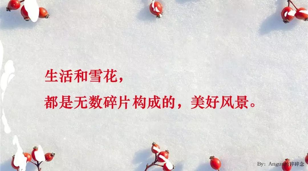 立冬文案來(lái)了