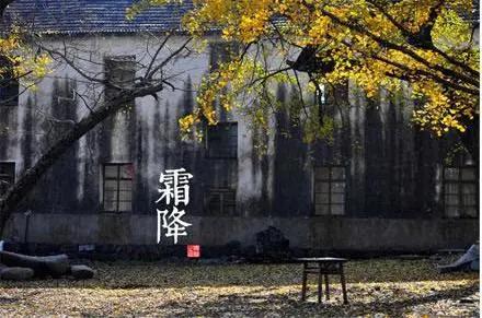 關(guān)于霜降的唯美句子 關(guān)于霜降的唯美句子