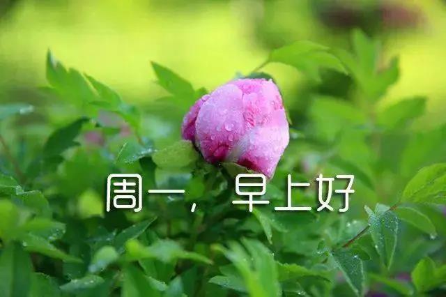 新的一周開始簡短語句