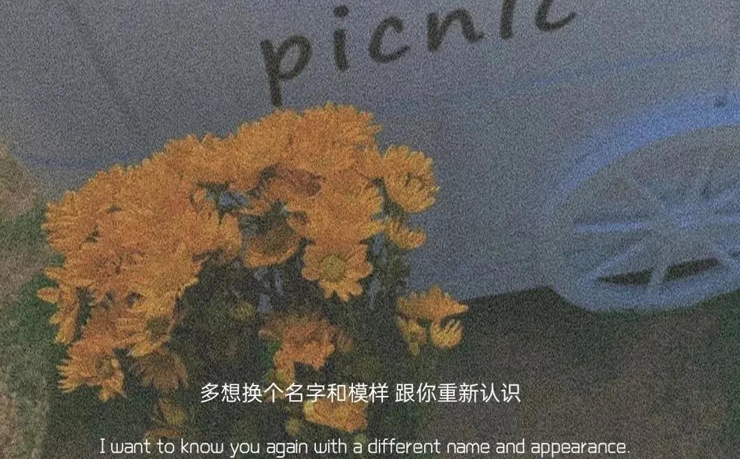 收藏在備忘錄的熱評(píng)溫柔文案