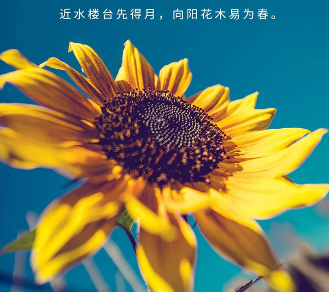 經典精辟短句