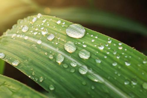 夏天雨后的短信問(wèn)候