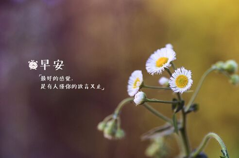 新的一天正能量句子 早安勵(lì)志心語(yǔ)大全