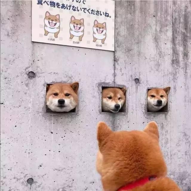 沙雕可愛(ài)的文案