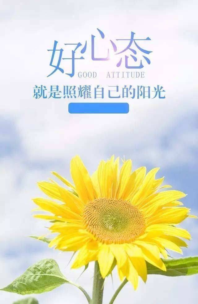 早安句子說(shuō)說(shuō)心情 唯美 簡(jiǎn)單