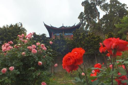 關(guān)于友情自私的句子 關(guān)于友情自私的句子