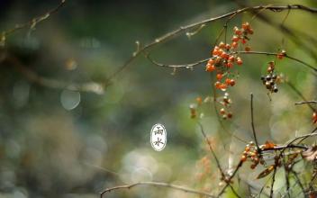 節(jié)氣雨水祝福語