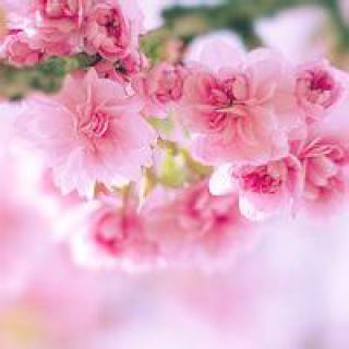 友情詩(shī)意的句子簡(jiǎn)短句子