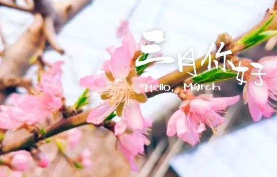 三月的優(yōu)美說(shuō)說(shuō)大全