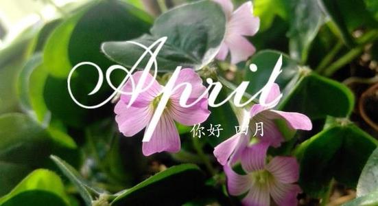 三月再見四月你好圖片說(shuō)說(shuō)