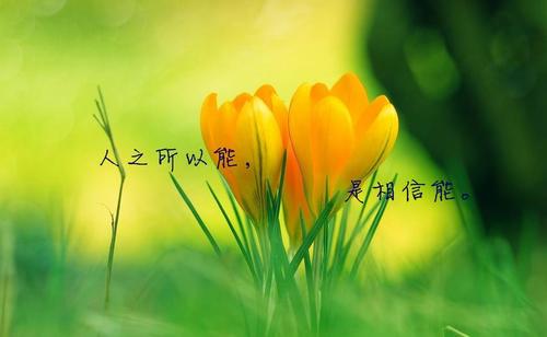 適合發(fā)朋友圈的勵(lì)志句子