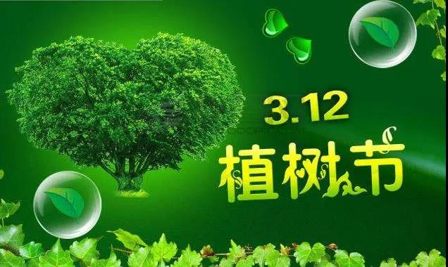 植樹(shù)節(jié)優(yōu)美句子 植樹(shù)節(jié)優(yōu)美句子