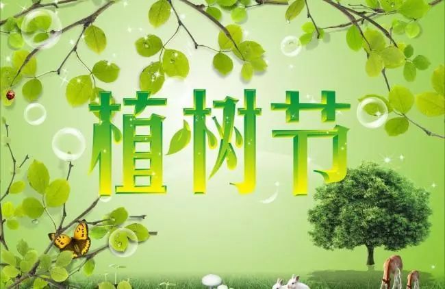 關(guān)于植樹(shù)節(jié)的宣傳標(biāo)語(yǔ) 關(guān)于植樹(shù)節(jié)的宣傳標(biāo)語(yǔ)