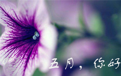 四月再見(jiàn)五月你好的圖片 四月再見(jiàn)五月你好的圖片