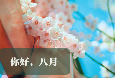 八月你好說(shuō)說(shuō)語(yǔ)錄