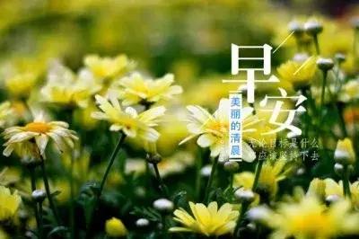 工作日早上問候語 周一上班朋友圈說說