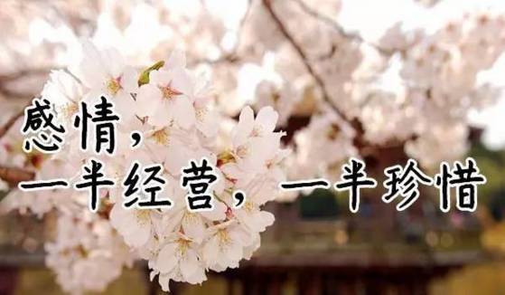 小仙女自拍發(fā)朋友圈的撩人句子 小仙女發(fā)的可愛說說