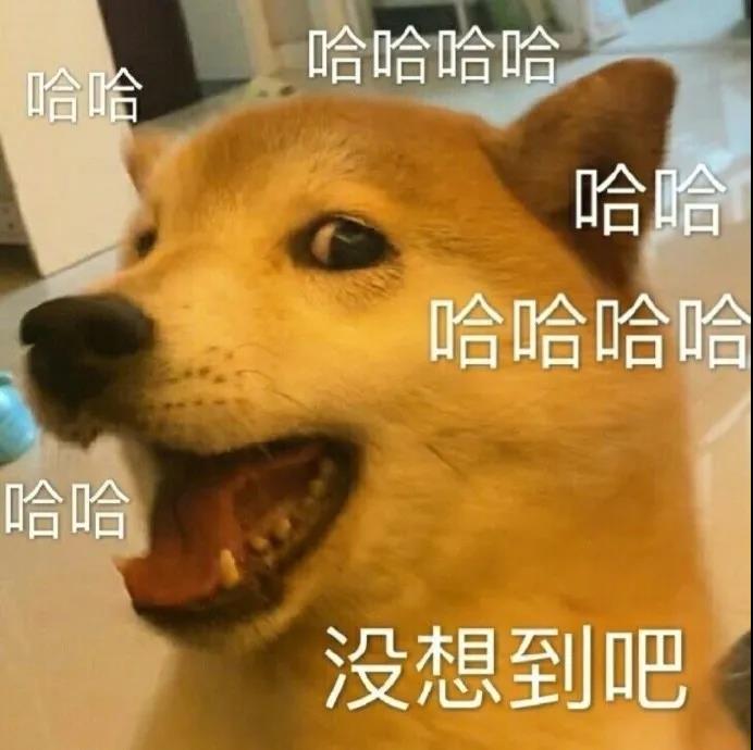 王思聰蔥油餅之土味情話 超級(jí)油膩的土味情話 王思聰蔥油餅之土味情話 超級(jí)油膩的土味情話